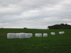 "Which Way to the Windham Textile & History Museum"