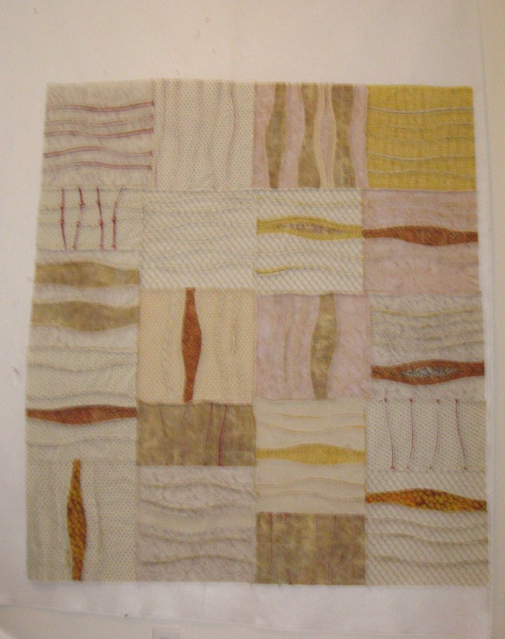 "LYME DISEASE" inside seam details