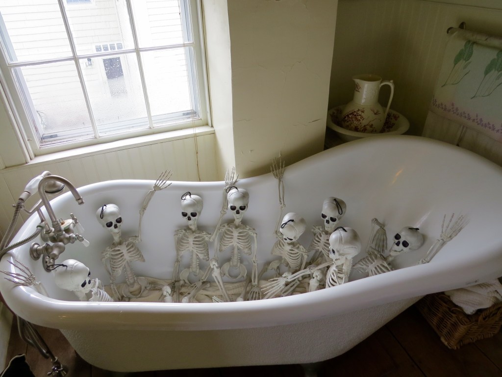 This image has an empty alt attribute; its file name is img_0345-1-2.jpg